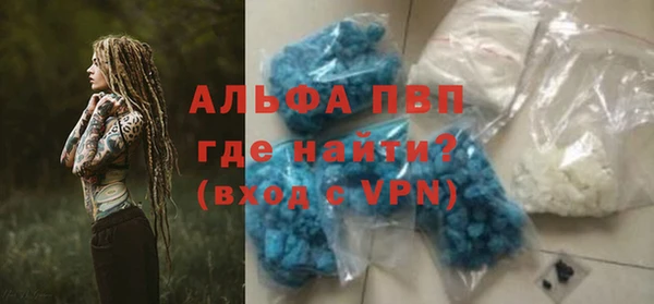 ПСИЛОЦИБИНОВЫЕ ГРИБЫ Касимов