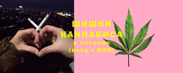 ПСИЛОЦИБИНОВЫЕ ГРИБЫ Касимов