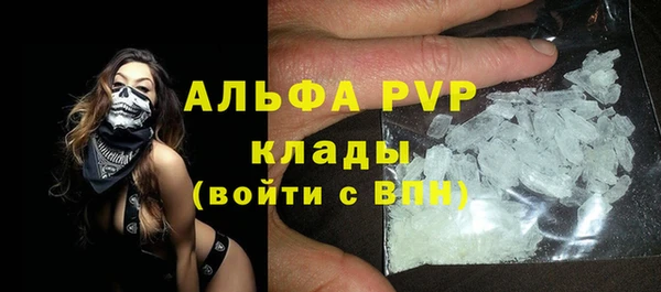 ПСИЛОЦИБИНОВЫЕ ГРИБЫ Касимов